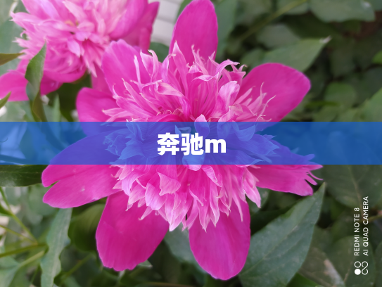 奔驰m