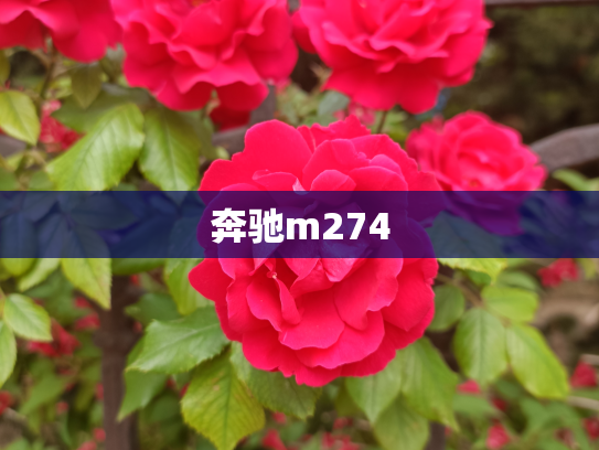 奔驰m274