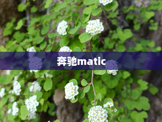 奔驰matic