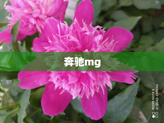 奔驰mg