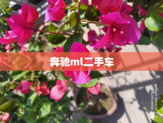 奔驰ml二手车