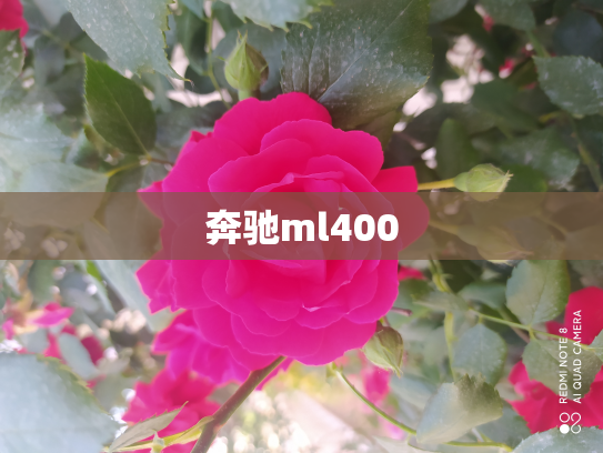 奔驰ml400