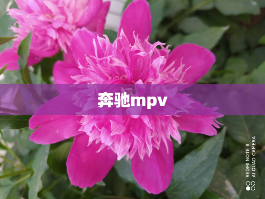 奔驰mpv