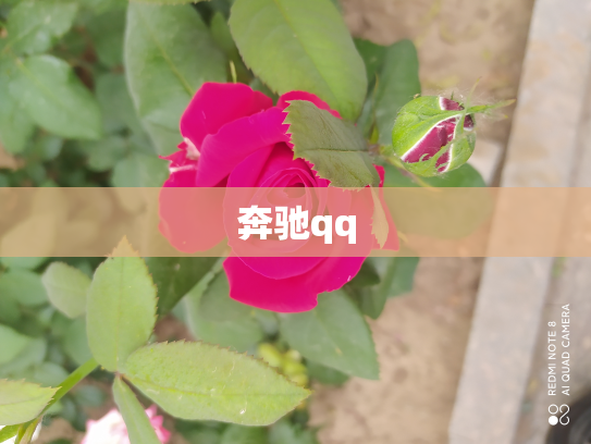 奔驰qq