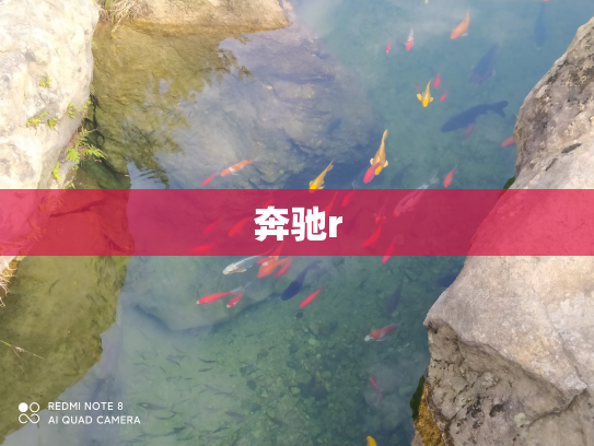 奔驰r
