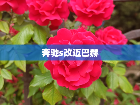 奔驰s改迈巴赫