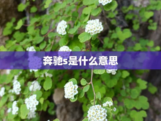奔驰s是什么意思