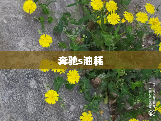 奔驰s油耗