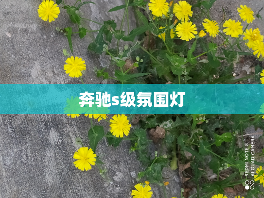 奔驰s级氛围灯