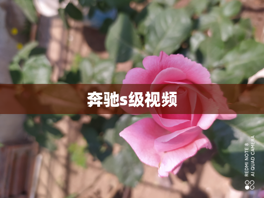 奔驰s级视频