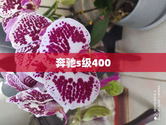 奔驰s级400
