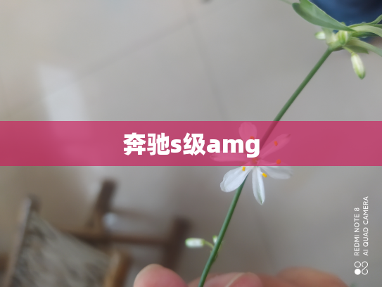 奔驰s级amg