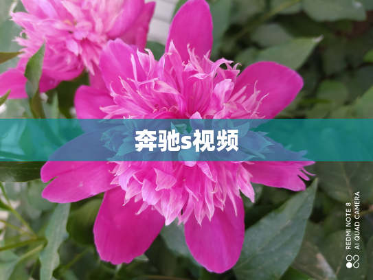 奔驰s视频