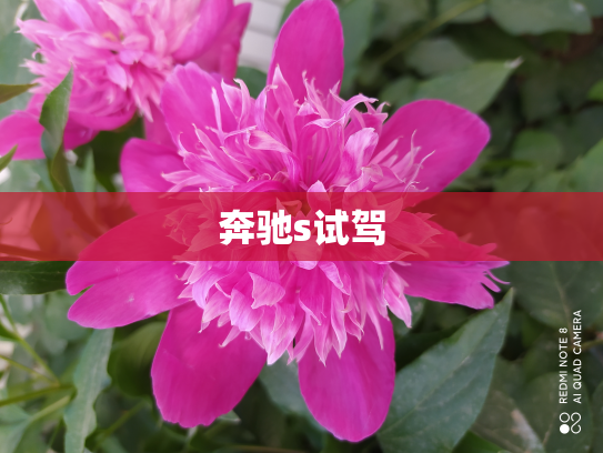 奔驰s试驾