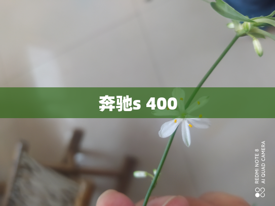 奔驰s 400