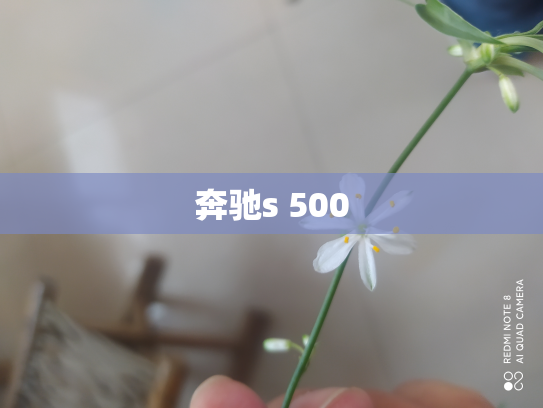 奔驰s 500