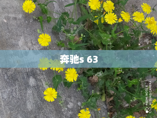 奔驰s 63