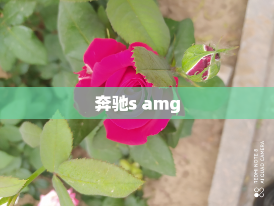奔驰s amg