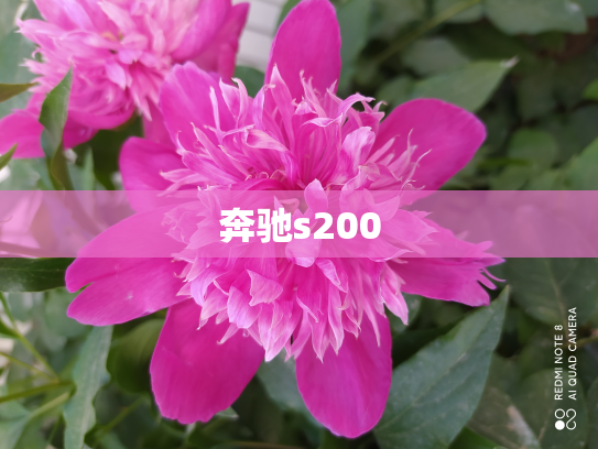 奔驰s200