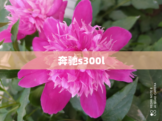 奔驰s300l