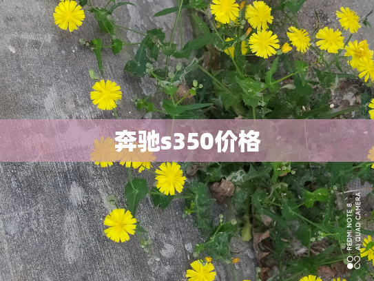 奔驰s350价格