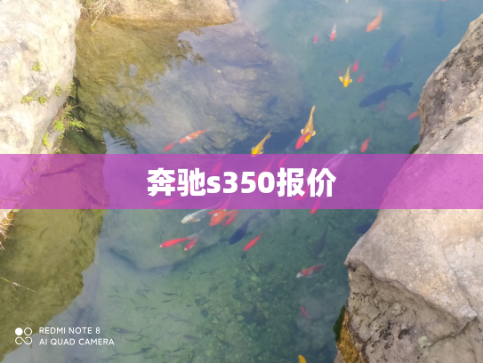 奔驰s350报价