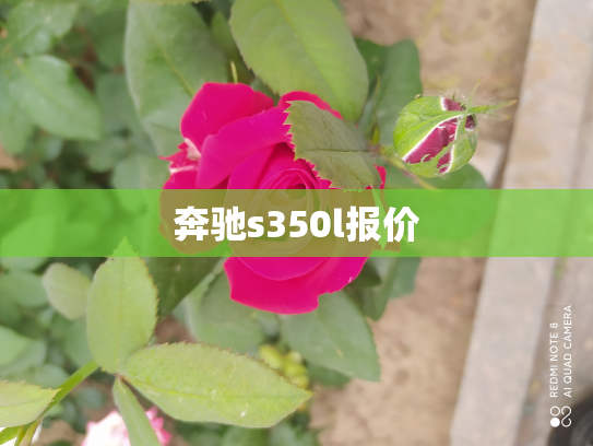 奔驰s350l报价