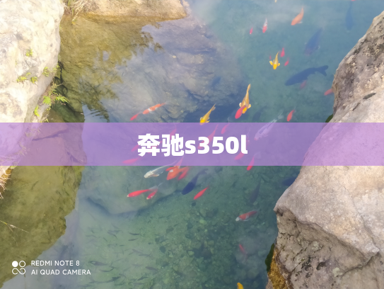 奔驰s350l