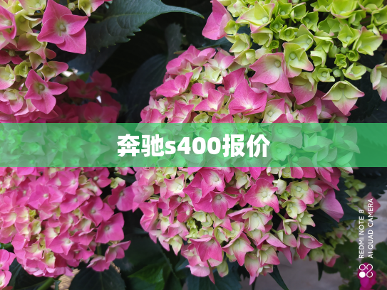 奔驰s400报价