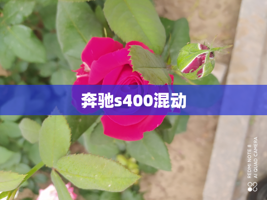 奔驰s400混动