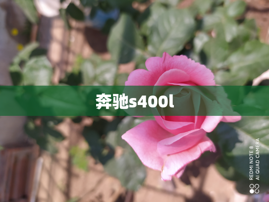 奔驰s400l
