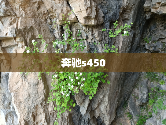 奔驰s450