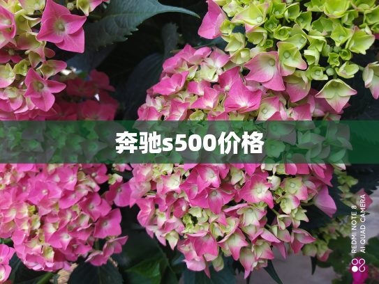奔驰s500价格