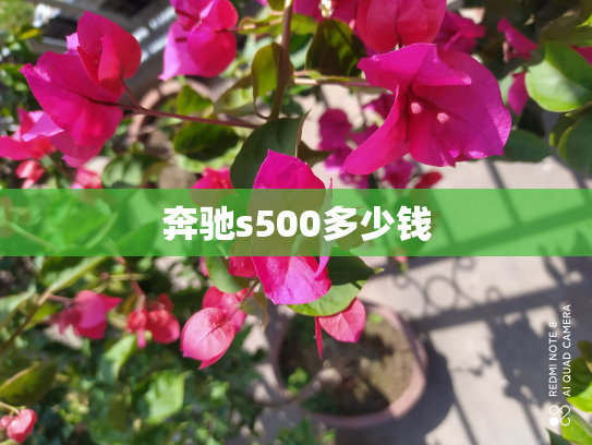 奔驰s500多少钱