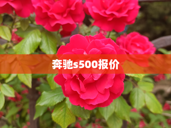 奔驰s500报价