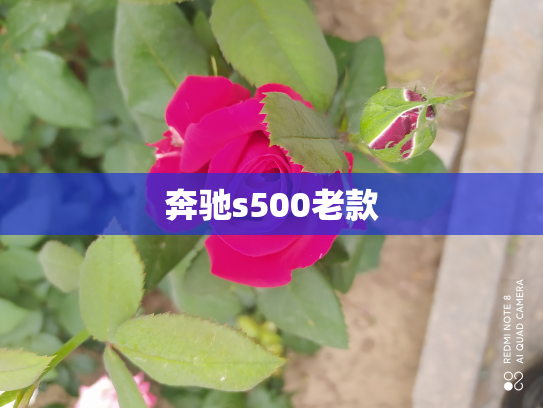 奔驰s500老款