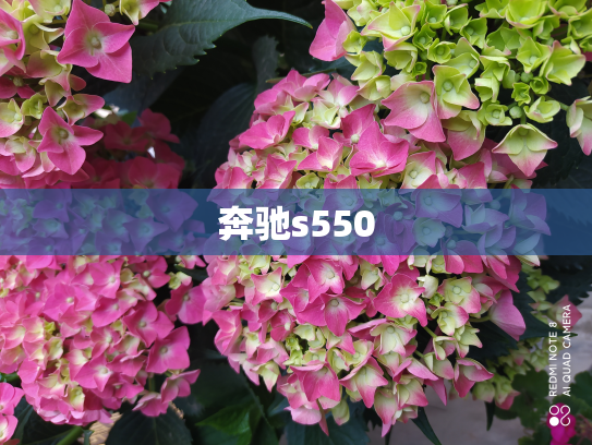 奔驰s550