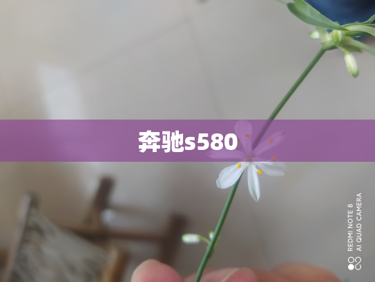 奔驰s580