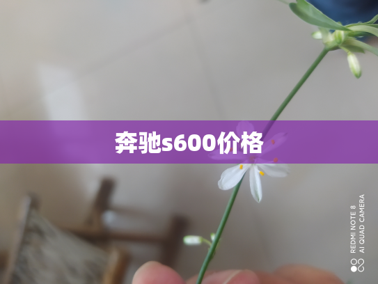 奔驰s600价格