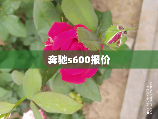 奔驰s600报价