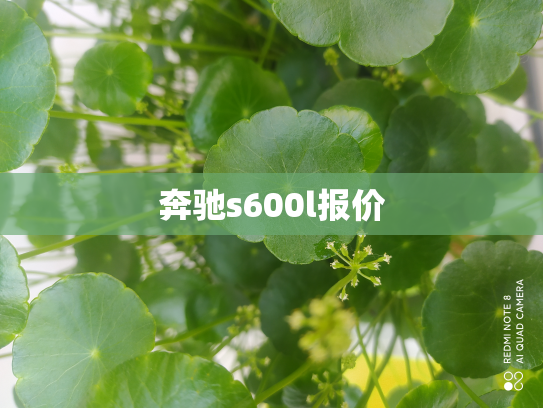 奔驰s600l报价