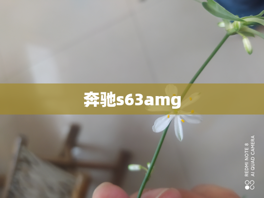 奔驰s63amg