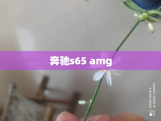 奔驰s65 amg