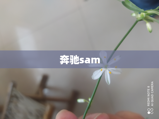 奔驰sam