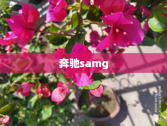 奔驰samg