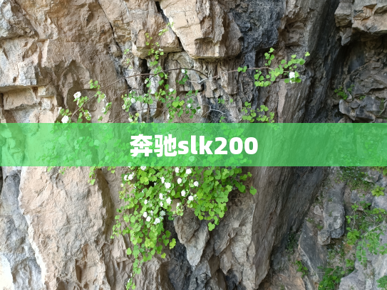 奔驰slk200