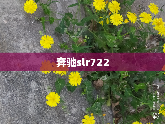 奔驰slr722