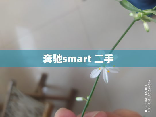奔驰smart 二手