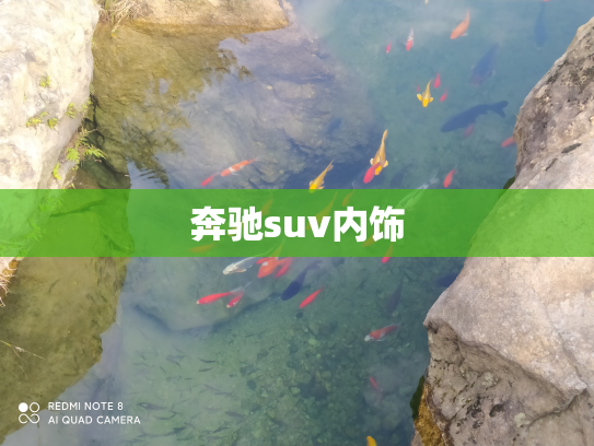奔驰suv内饰