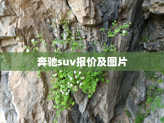 奔驰suv报价及图片